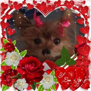 Meet your Posher, Ruth